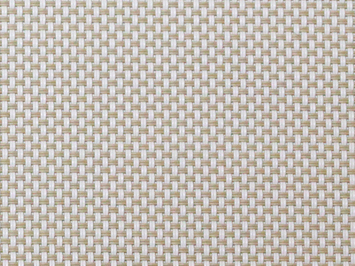 EB36360133  White Mushroom